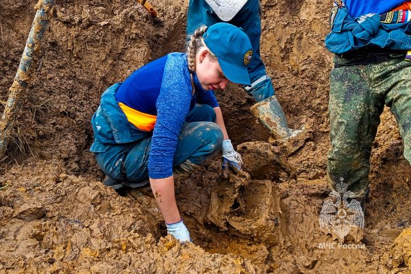 Завершение осенней Вахты Памяти-2026: итоги экспедиции поискового отряда Академии ГПС МЧС России